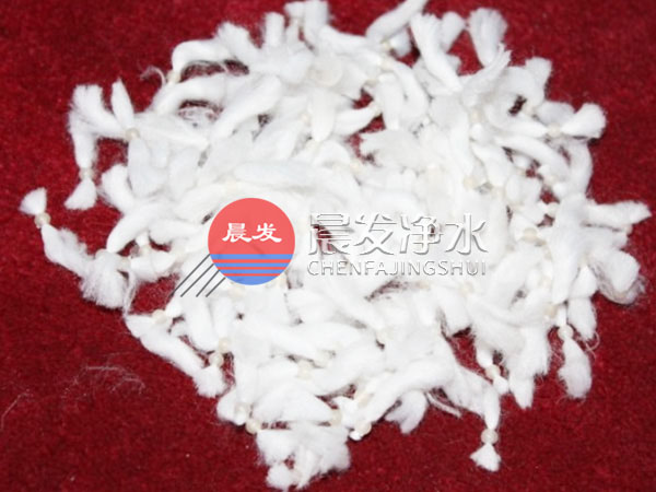 863����ʽ�w�S�V��