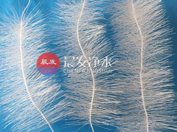 ���w��������