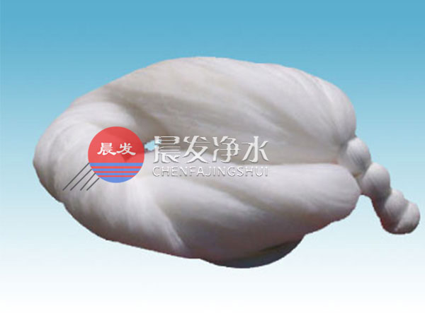 �w�S������