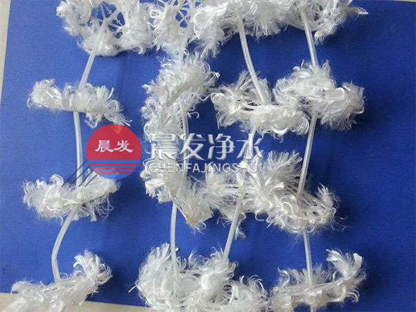 �M��������